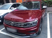 Bán xe Volkswagen Tiguan năm sản xuất 2018, nhập khẩu