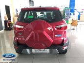 Mua Ecosport, nhận quà tặng tiền mặt + phụ kiện lên đến hơn 30tr đồng