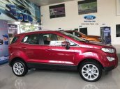 Mua Ecosport, nhận quà tặng tiền mặt + phụ kiện lên đến hơn 30tr đồng