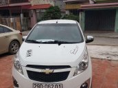 Cần bán gấp xe Chevrolet Spark đời 2015, màu trắng, nhập khẩu