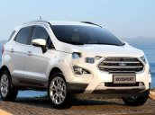 Cần bán lại xe Ford EcoSport sx 2019, hỗ trợ tốt