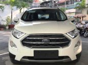 Cần bán Ford EcoSport năm 2019