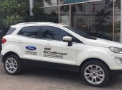 Cần bán Ford EcoSport năm 2019