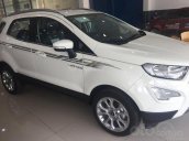 Cần bán Ford EcoSport năm 2019