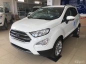 Cần bán Ford EcoSport năm 2019