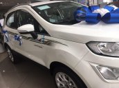 Ford EcoSpost giá sốc cuối năm lên đến 70 triệu