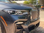 Bán BMW X7 xDrive40i 2020, màu xám (ghi), nhập khẩu nguyên chiếc