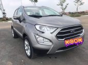 Bán ô tô Ford EcoSport đời 2018, màu bạc, nhập khẩu chính hãng