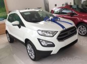 Ford Ecosport Trend AT 1.5L 2019 giá sốc nhất miền Nam, tặng full phụ kiện, hỗ trợ trả góp