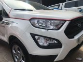 Xe Ford EcoSport MT 2019, màu trắng số sàn, giá 490tr