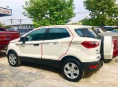 Xe Ford EcoSport MT 2019, màu trắng số sàn, giá 490tr