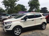 Xe Ford EcoSport MT 2019, màu trắng số sàn, giá 490tr