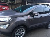 Bán Ford EcoSport đời 2019, màu nâu, nhập khẩu như mới