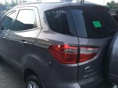 Bán Ford EcoSport đời 2019, màu nâu, nhập khẩu như mới