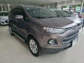 Cần bán Ford EcoSport sản xuất 2017, màu nâu, ít sử dụng