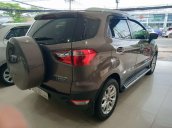 Cần bán Ford EcoSport sản xuất 2017, màu nâu, ít sử dụng