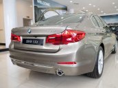 Cần bán xe BMW 530i đời 2019, màu vàng, nhập khẩu