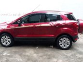 Cần bán gấp Ford EcoSport đời 2016, màu đỏ chính chủ