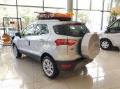 Bán xe Ford EcoSport đời 2019, ưu đãi hấp dẫn