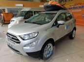 Bán xe Ford EcoSport đời 2019, ưu đãi hấp dẫn