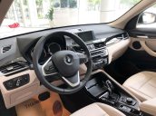 Bán ô tô BMW X1 năm 2019, màu trắng, nhập khẩu