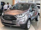 Cần bán Ford EcoSport sản xuất năm 2019, màu xám, giá tốt