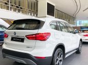 Bán ô tô BMW X1 năm 2019, màu trắng, nhập khẩu