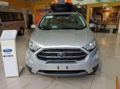 Bán xe Ford EcoSport đời 2019, ưu đãi hấp dẫn