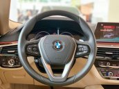 Bán ô tô BMW 530i 2019, màu xanh lam, nhập khẩu nguyên chiếc