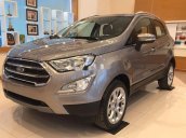 Cần bán Ford EcoSport sản xuất năm 2019, màu xám, giá tốt