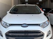 Bán Ford EcoSport Titanium 2017, màu trắng, 503 triệu