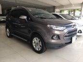 Cần bán xe Ford EcoSport Titanium 1.5P AT 2017, màu nâu, biển SG, xe đẹp