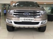 Bán nhanh chiếc xe Ford Everest sản xuất 2019, nhập khẩu
