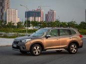 Bán Subaru Forester năm 2019, màu vàng, xe nhập