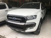 Cần bán xe Ford Ranger Wildtrack 3.2AT 2017, xe nhập, 795 triệu