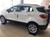 Cần bán Ford EcoSport năm 2019 giá tốt