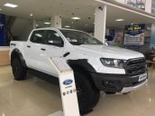 Bán Ford Ranger sản xuất năm 2019, màu trắng, nhập khẩu nguyên chiếc