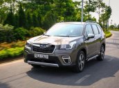 Bán Subaru Forester năm 2019, màu vàng, xe nhập