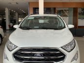 Bán ô tô Ford EcoSport năm 2019, màu trắng