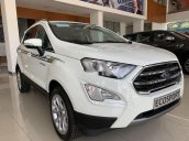 Bán ô tô Ford EcoSport năm 2019, màu trắng