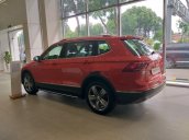 Bán ô tô Volkswagen Tiguan sản xuất năm 2018, màu đỏ, xe nhập