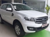 Bán Ford Everest đời 2019, màu trắng, xe nhập, mới hoàn toàn