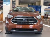 Ford EcoSport màu đỏ đồng 2020, tặng gói phụ kiện 12 triệu