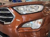Ford EcoSport màu đỏ đồng 2020, tặng gói phụ kiện 12 triệu