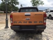 Cần bán Ford Ranger Wildtrak 2.0 4x4 sản xuất 2019 giá cạnh tranh