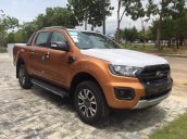 Cần bán Ford Ranger Wildtrak 2.0 4x4 sản xuất 2019 giá cạnh tranh