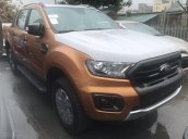 Cần bán Ford Ranger Wildtrak 2.0 4x4 sản xuất 2019 giá cạnh tranh