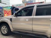 Cần bán Ford Escape sản xuất 2010