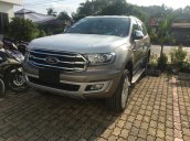 Bán Ford Everest sản xuất năm 2019, màu vàng, nhập khẩu