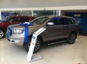 Bán Ford Everest sản xuất năm 2019, màu vàng, nhập khẩu